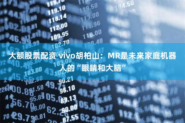 大额股票配资 vivo胡柏山：MR是未来家庭机器人的“眼睛和大脑”